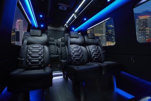 New Orleans limousine service - sprinter shuttle rear viewcopy