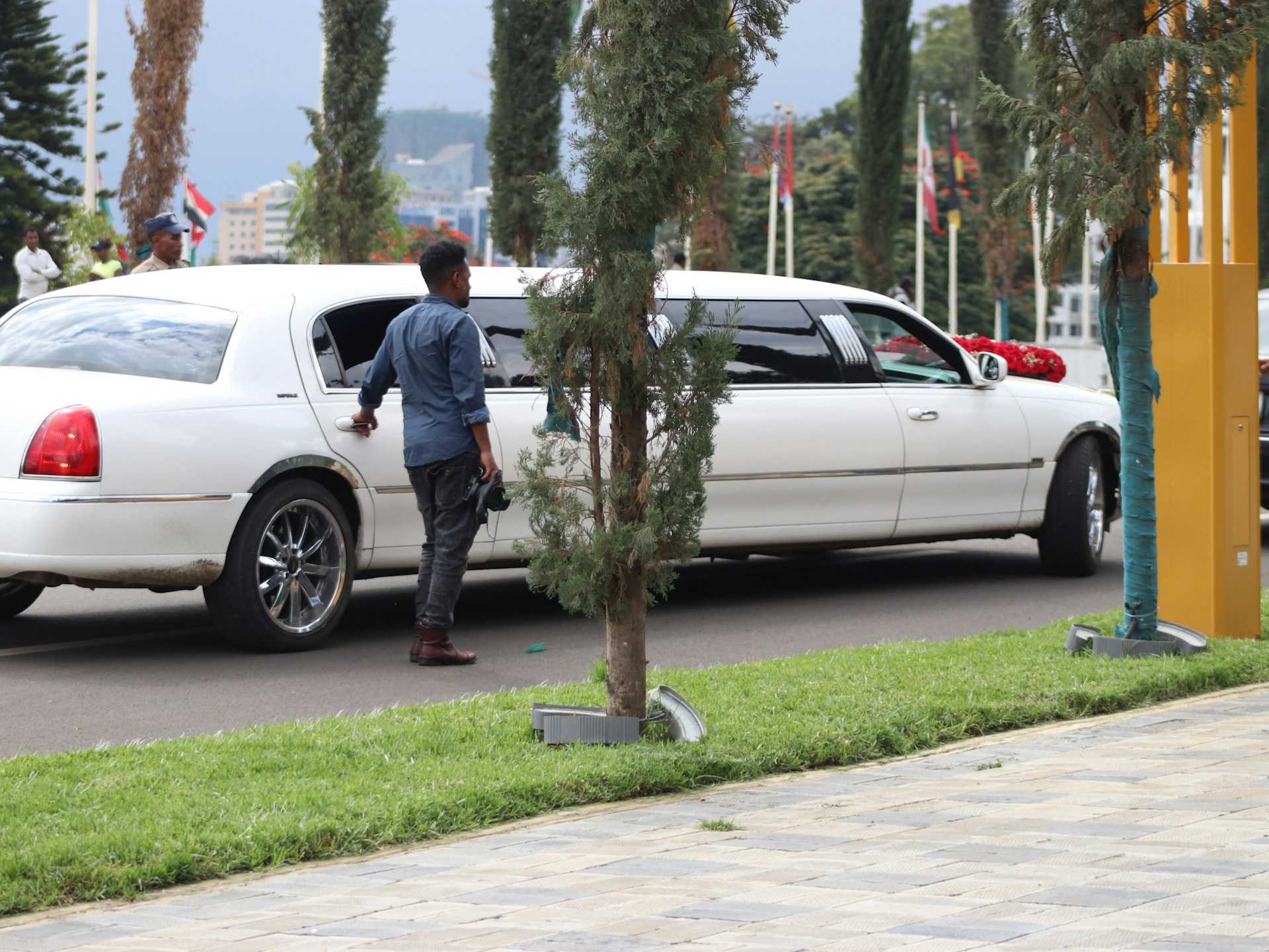 Limousine